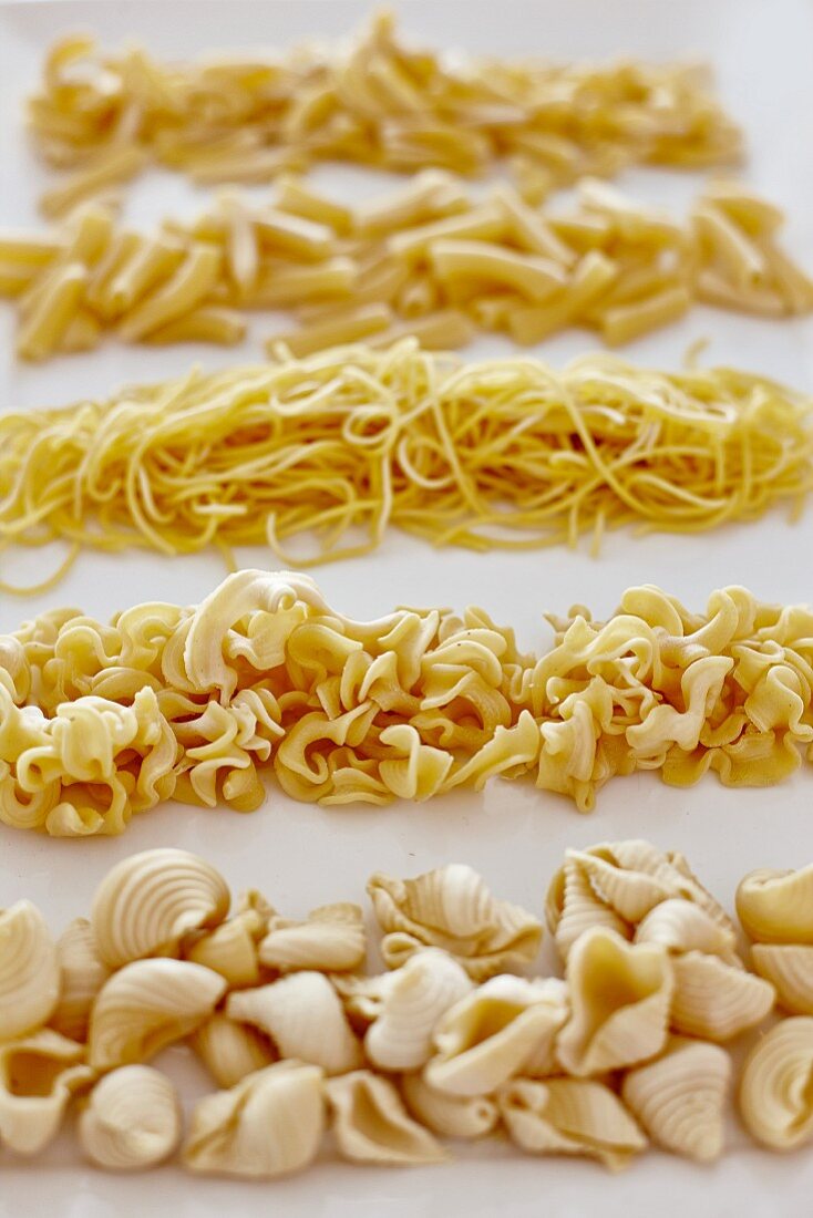 Assorted noodles in rows