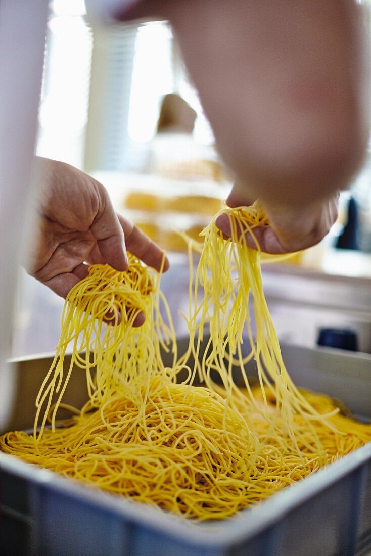 Frisch gemachte Spaghetti im Behälter