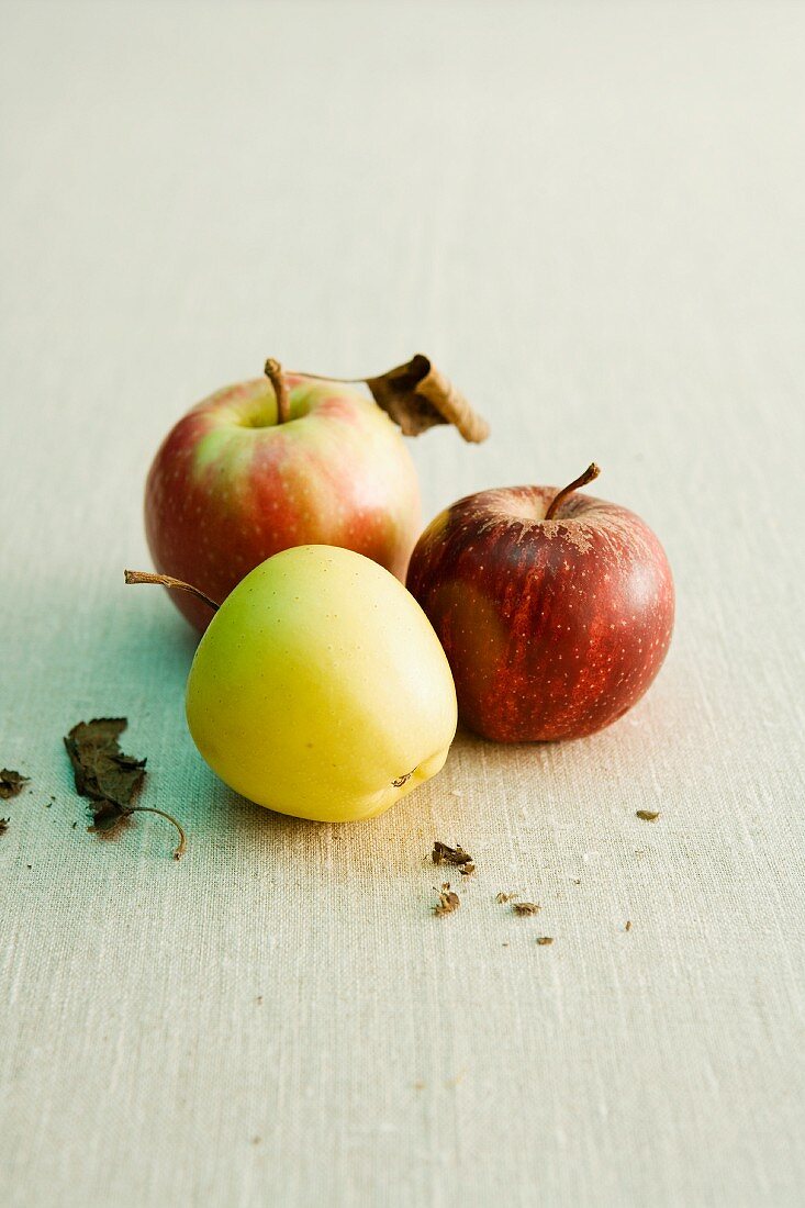Drei verschiedene Apfelsorten