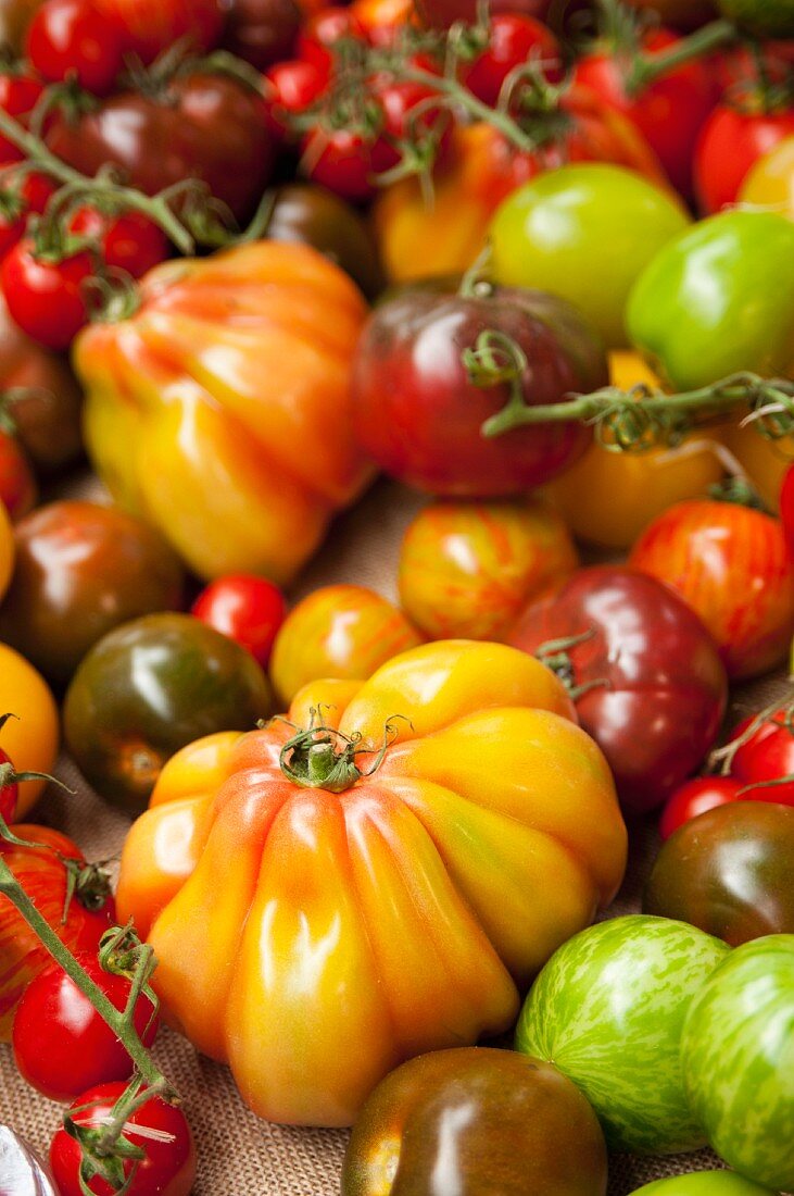 Various Heirloom Tomatoes