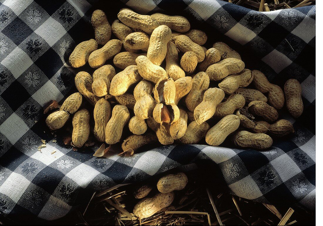 Mehrere Erdnüsse mit Schalen auf kariertem Tuch