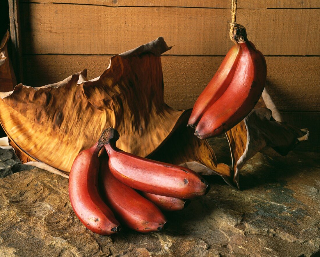 Rote Bananen mit getrockneten Blättern