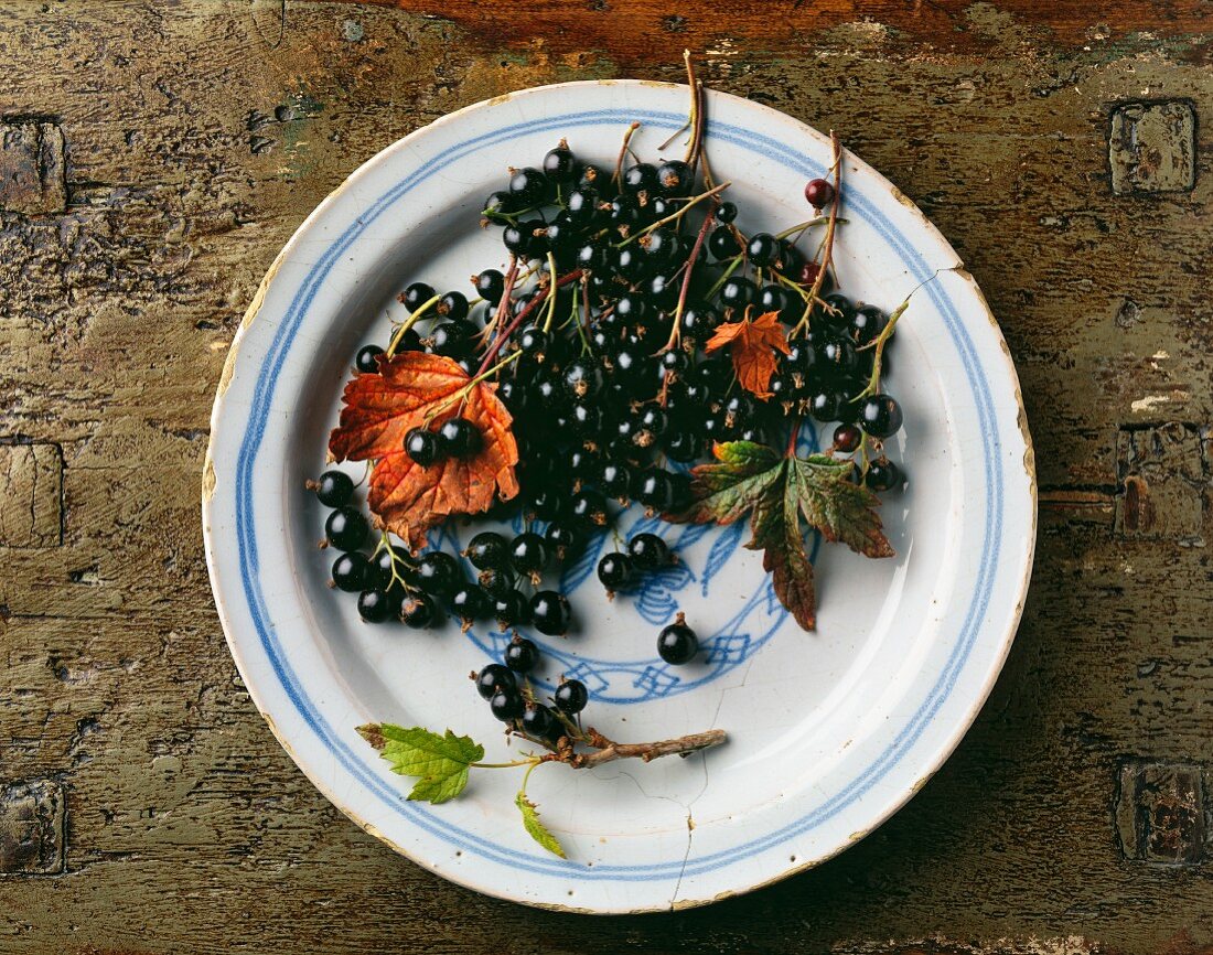 Schwarze Johannisbeeren mit Blättern auf Teller