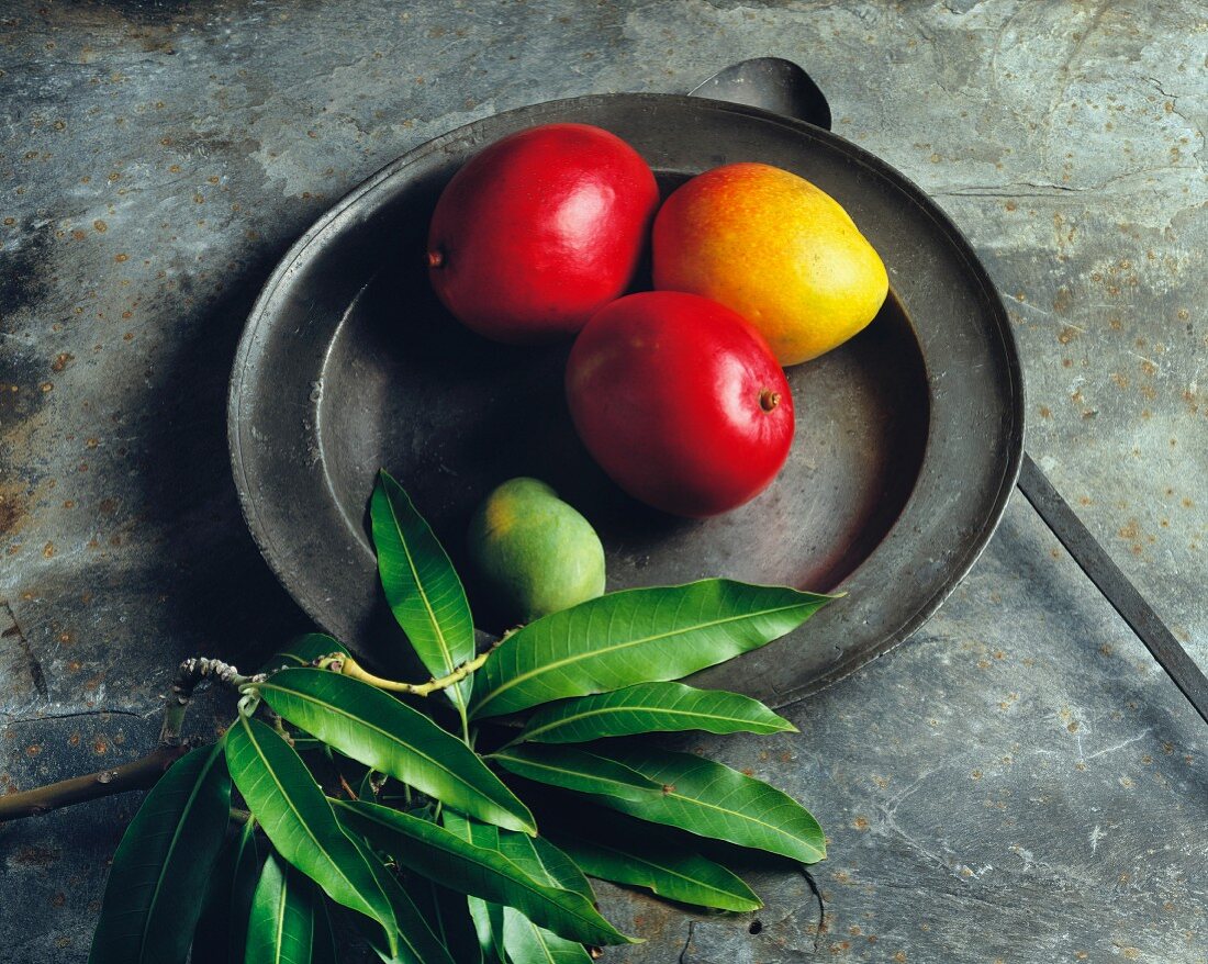 Mangos auf Zinnteller mit Blättern