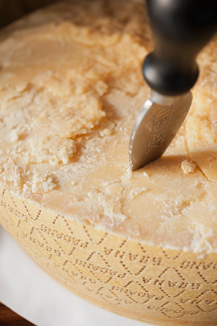 Parmesan with a cheese knife (close-up)