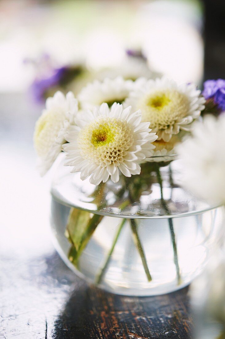 Fresh cut flowers in a spherical vase on a table