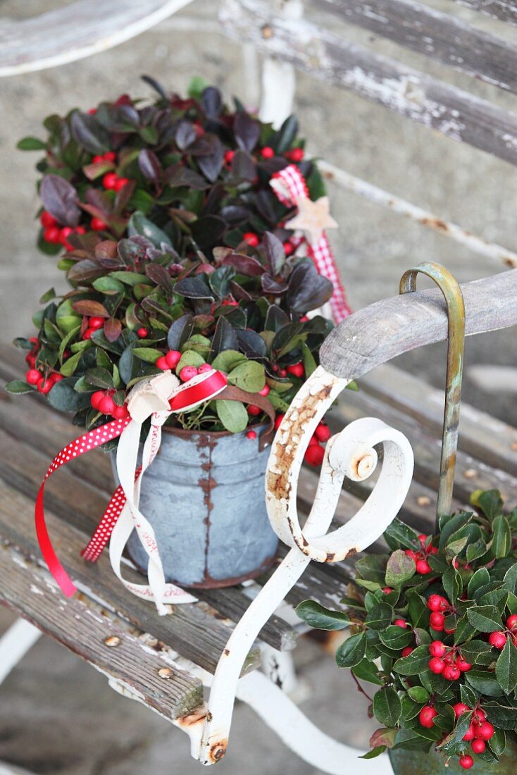 Plants with red berries in small metal buckets on weathered garden chair