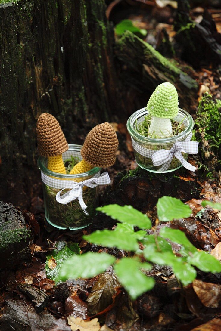 Crocheted toadstools in jars on mossy tree stump