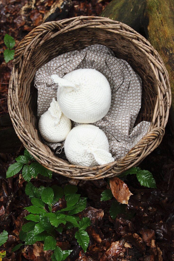 Wicker basket with white, crocheted apples on woodland floor