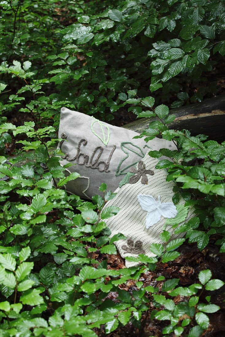 Various cushions with embroidered lettering and crocheted covers on woodland floor