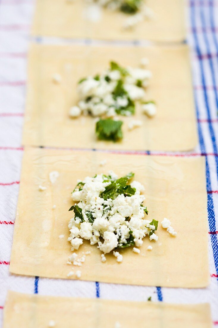 Selbstgemachte Wan Tans mit Feta-Minze-Füllung