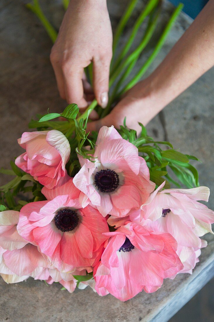 Frauenhände beim Binden eines Strausses zartrosa blühender Garten-Anemonen