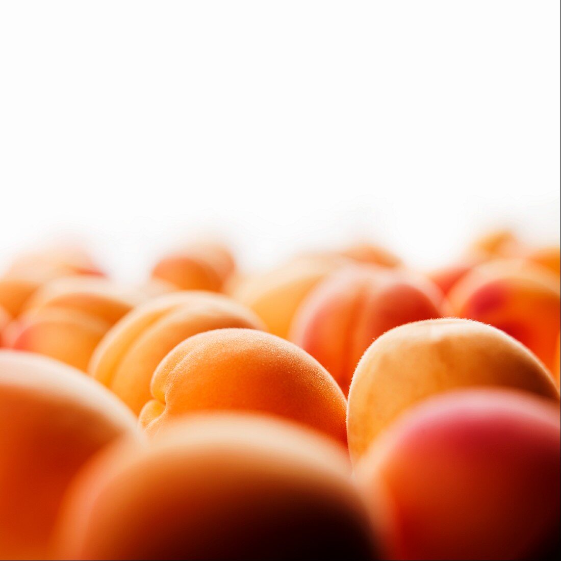 Apricots