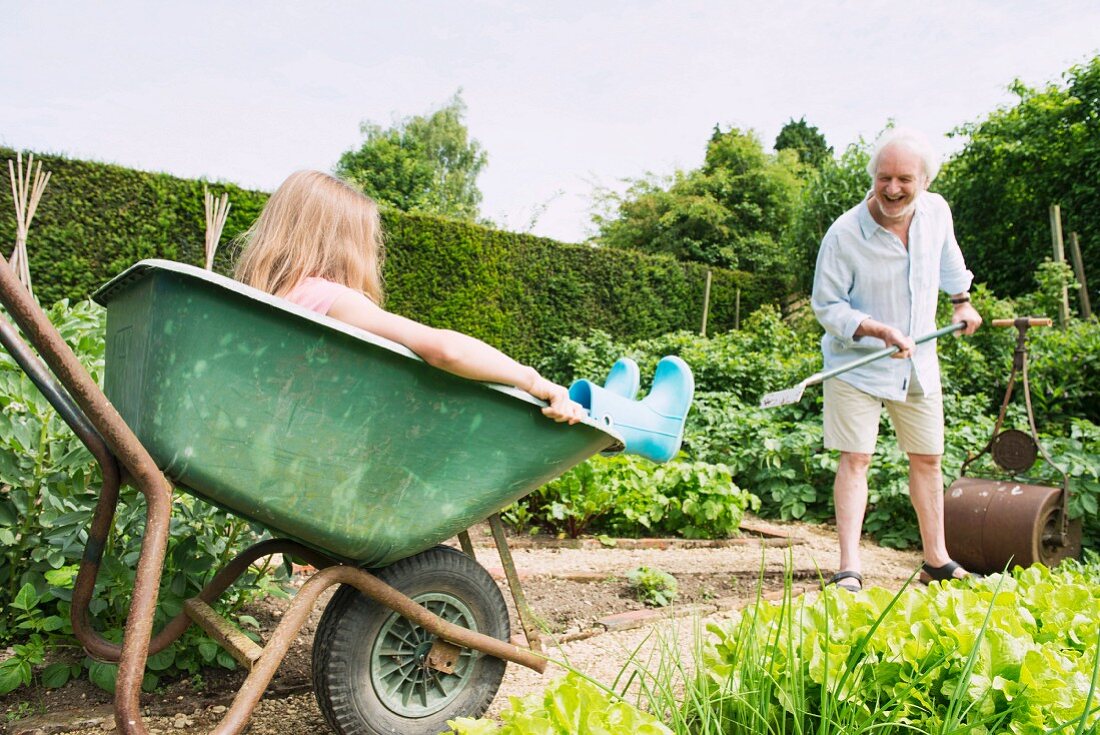 Mädchen sitzt in Schubkarre & Grossvater bei der Gartenarbeit