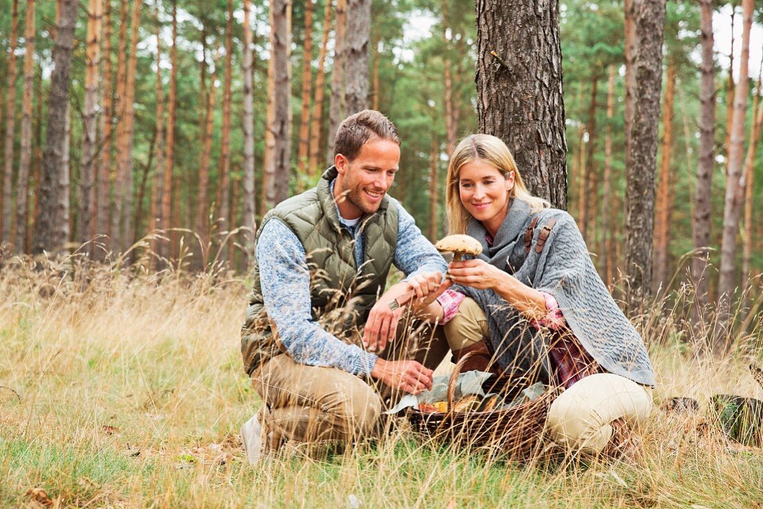 A couple hunting for mushrooms in the forest