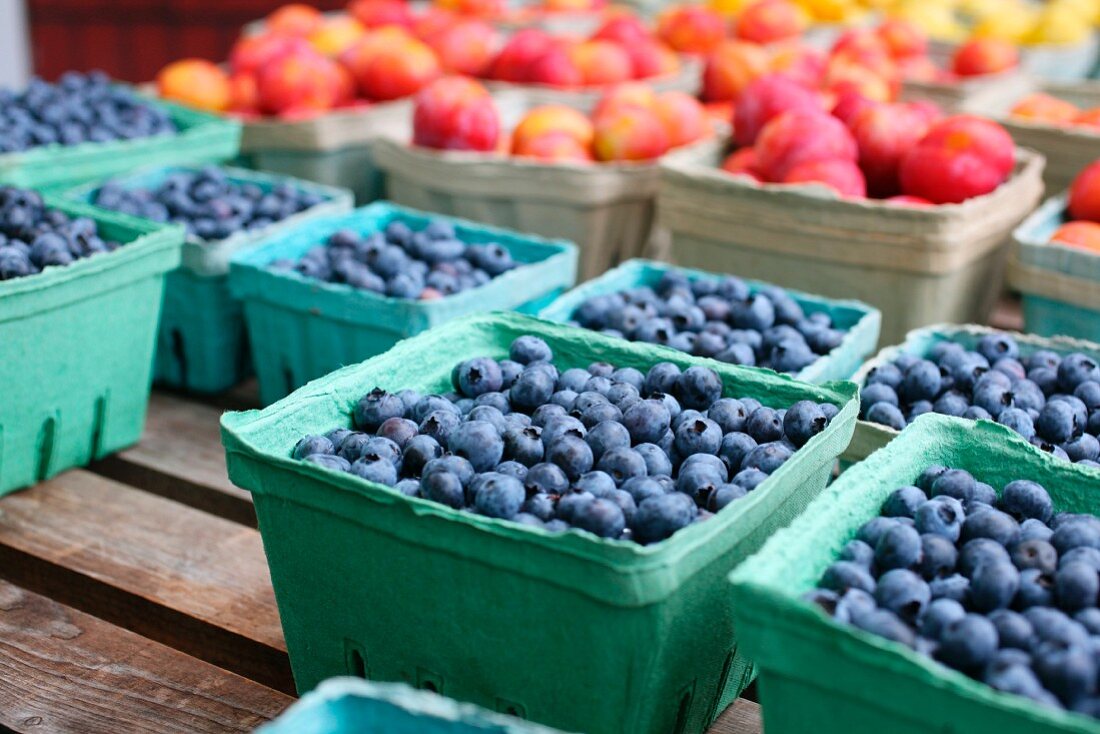 Containers of freshly picked blueberries at a farm stand