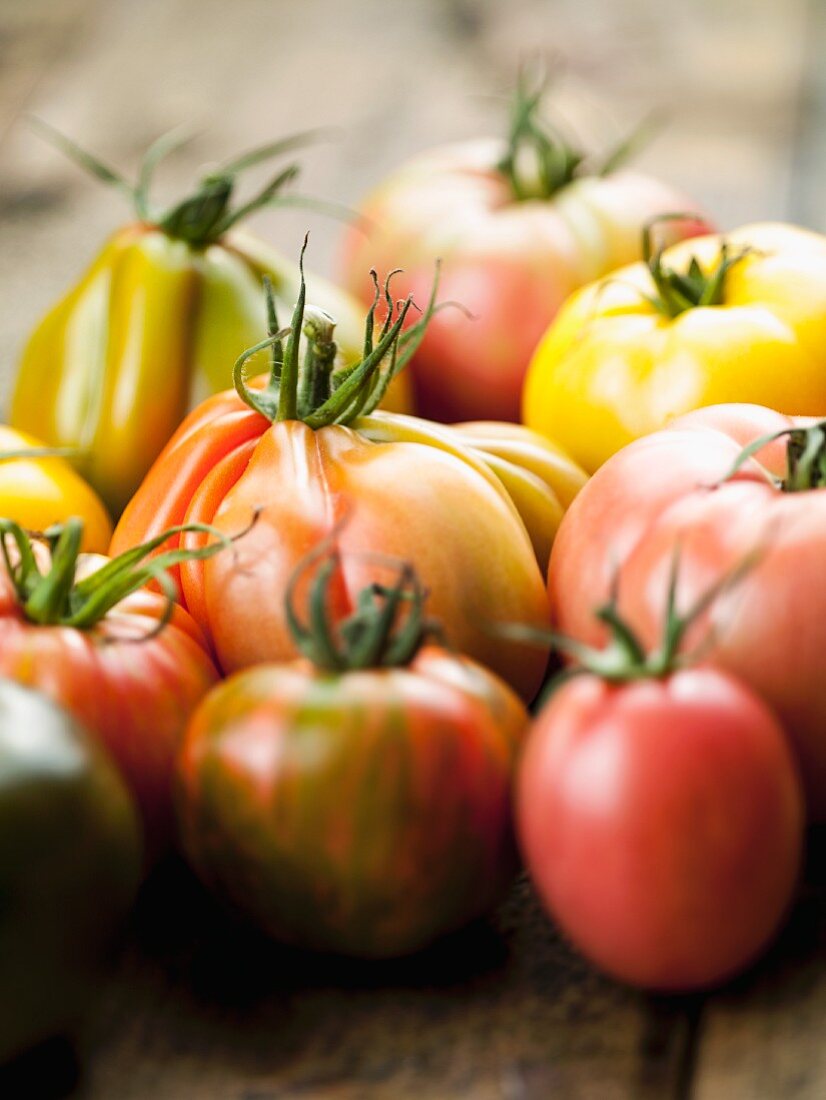 Various varieties of tomatoes
