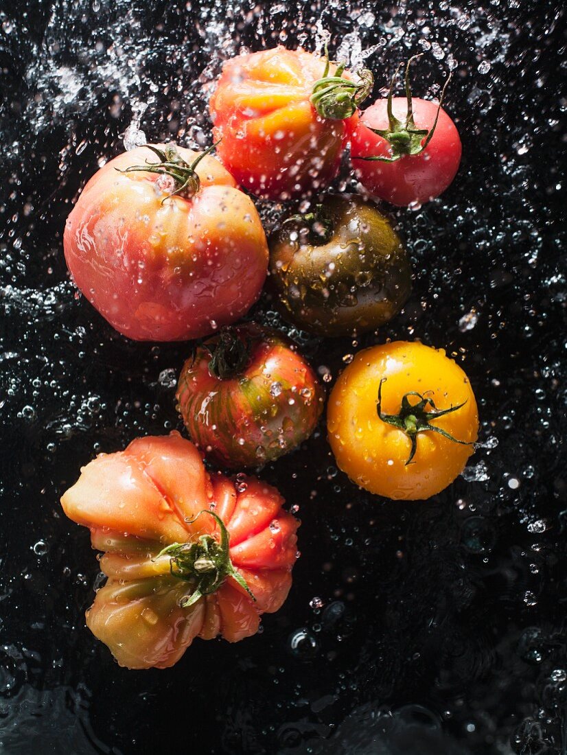 Tomaten mit Wasser bespritzen