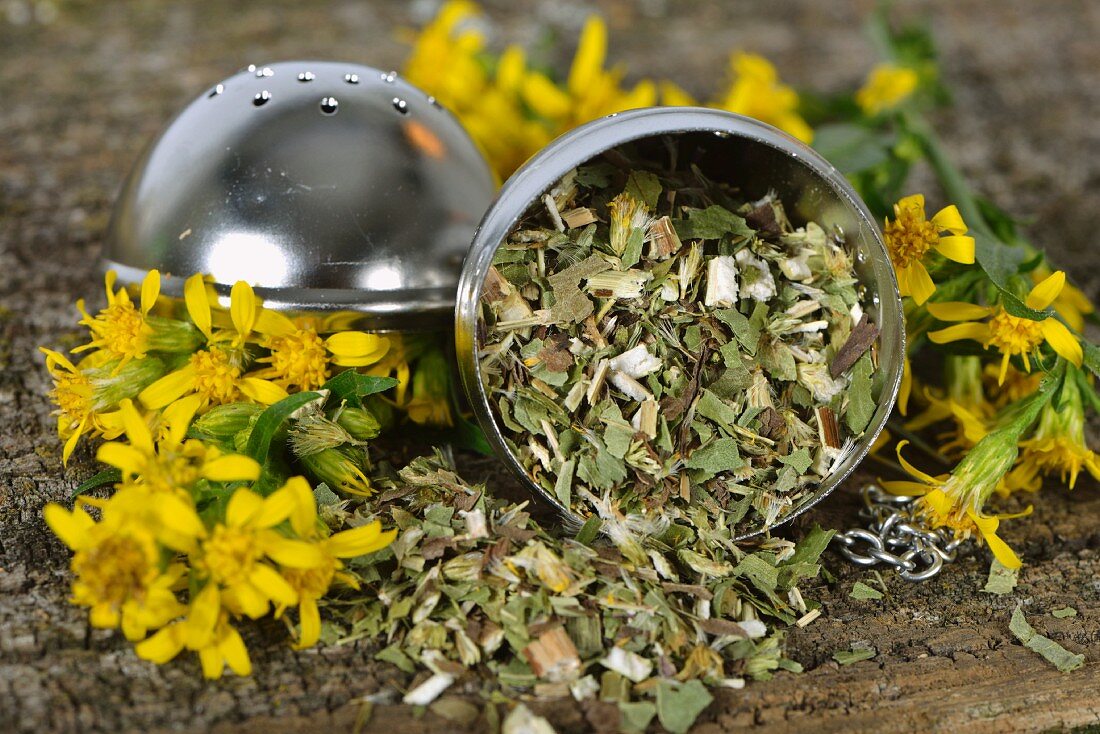 Getrocknete Goldrutenteeblätter im Teeei und frische Blüten
