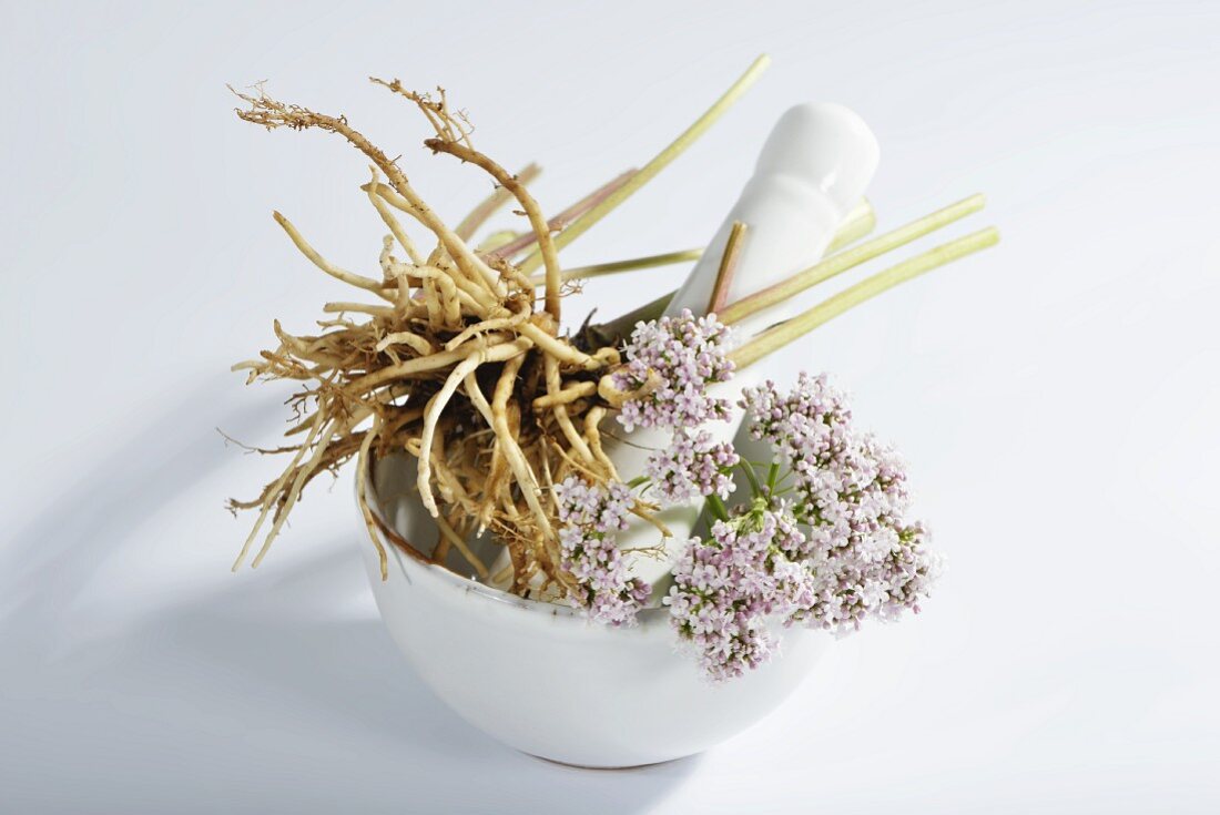Valerian root and flowers in a mortar