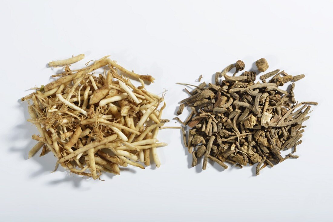 Chopped valerian root, fresh and dried