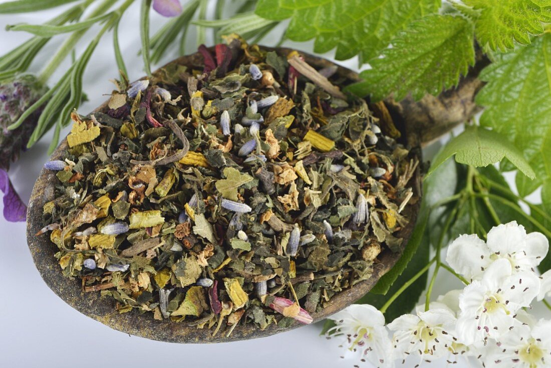 A mix for herbal tea with mistletoe, hawthorn leaves, stinging nettles, valerian, hibiscus flowers and lavender