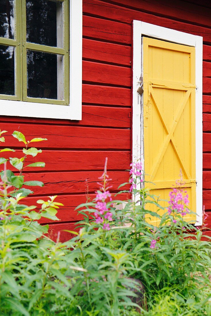 Red Scandinavian wooden house with yellow door