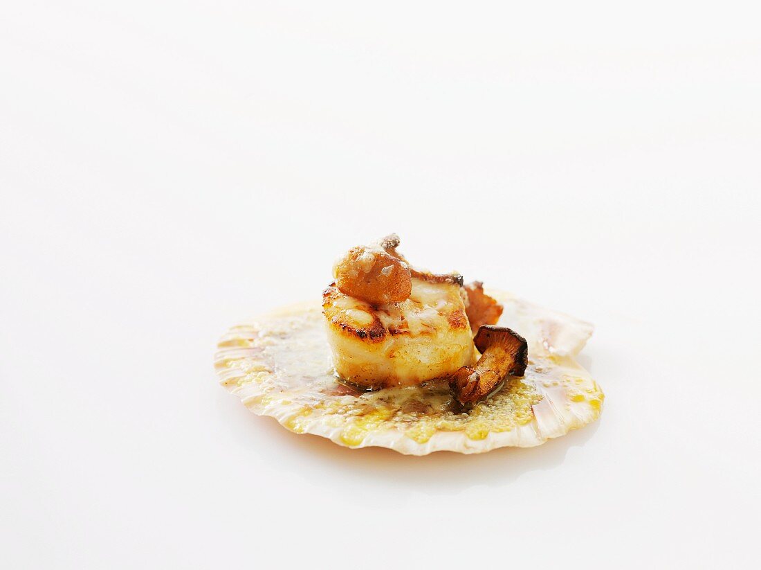 Fried scallop with mushrooms against a white background