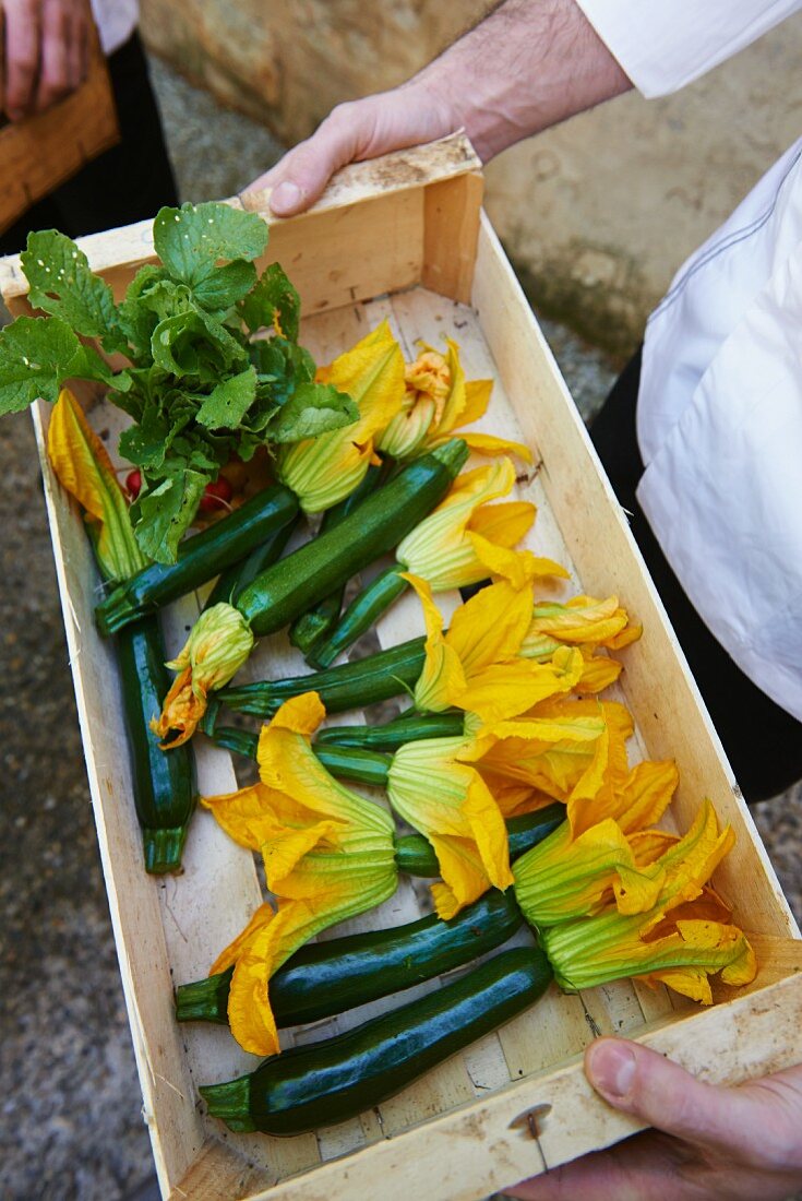 A chef holding a crate of courgette flowers