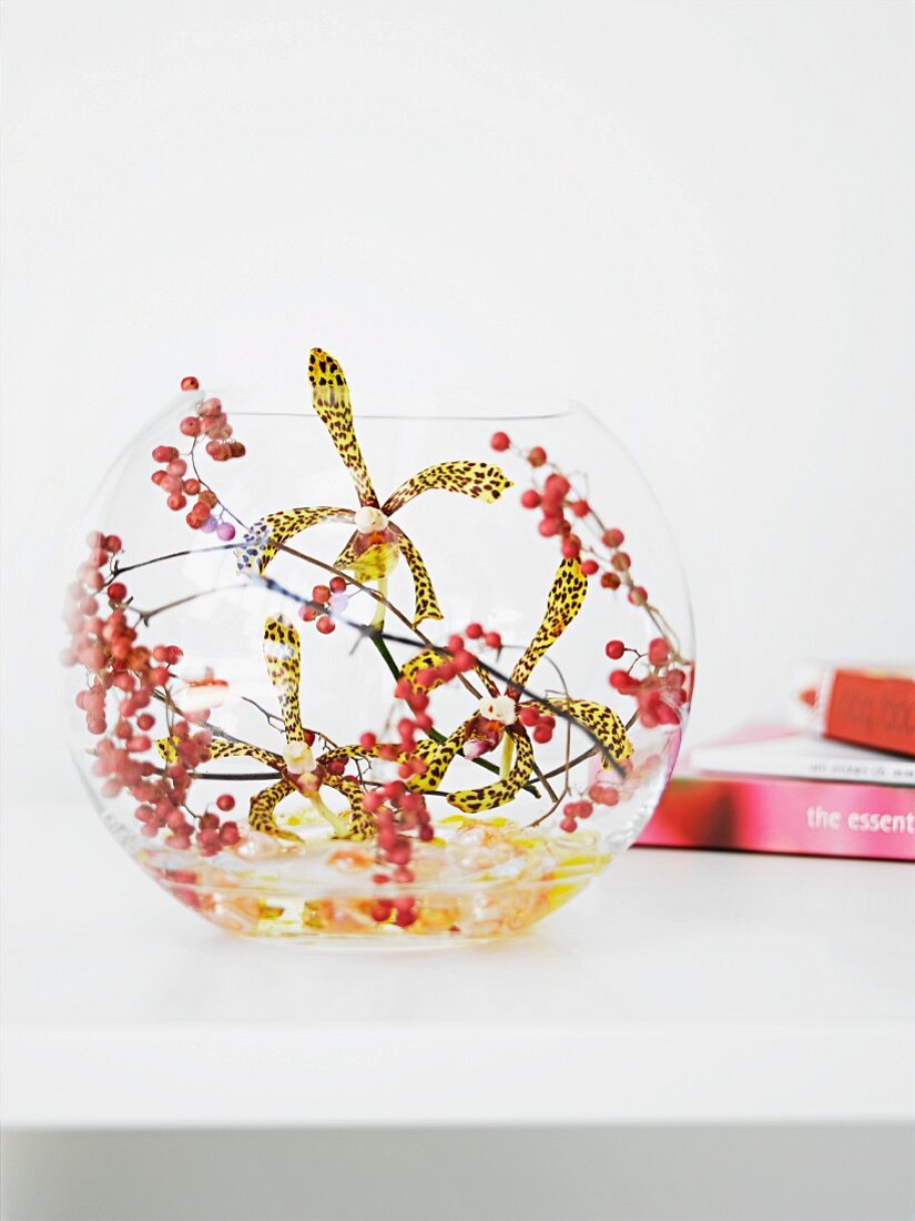 Flower arrangement of orchids & pink pepper berries in spherical vase