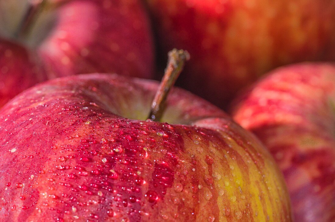 Rote Äpfel mit Wassertropfen (Close Up)