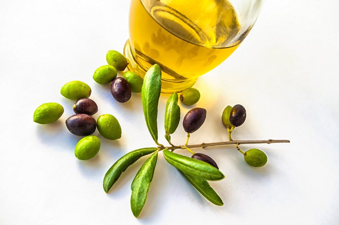 Frische Oliven mit Olivenzweig und einer Karaffe Olivenöl