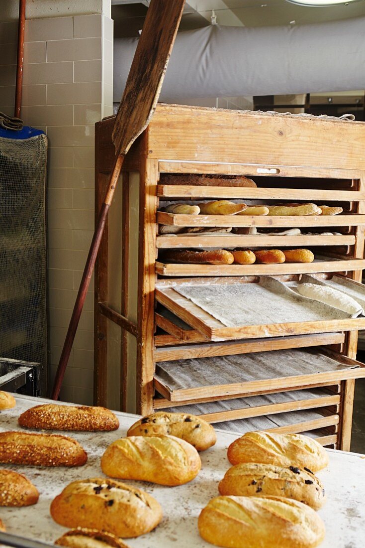 Assorted loaves in a bakery