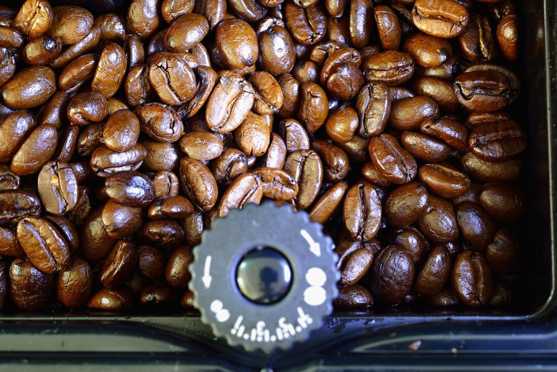 Coffee beans in a coffee grinder