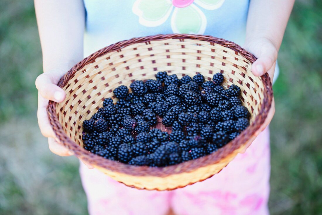 A girl holding a basket of blackberries