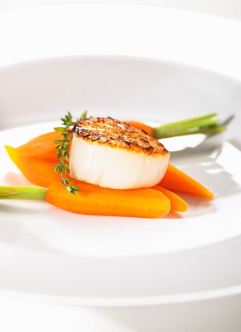 Scallop and baby carrots on white plate, Close Up
