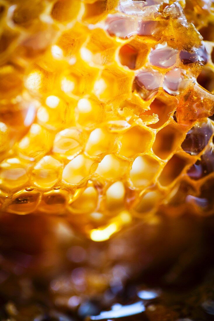 Close-up of honeycomb