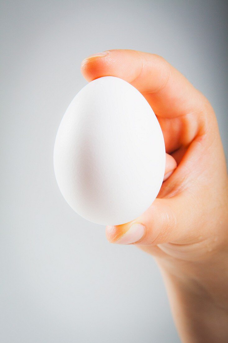 A woman's hand holding a white egg