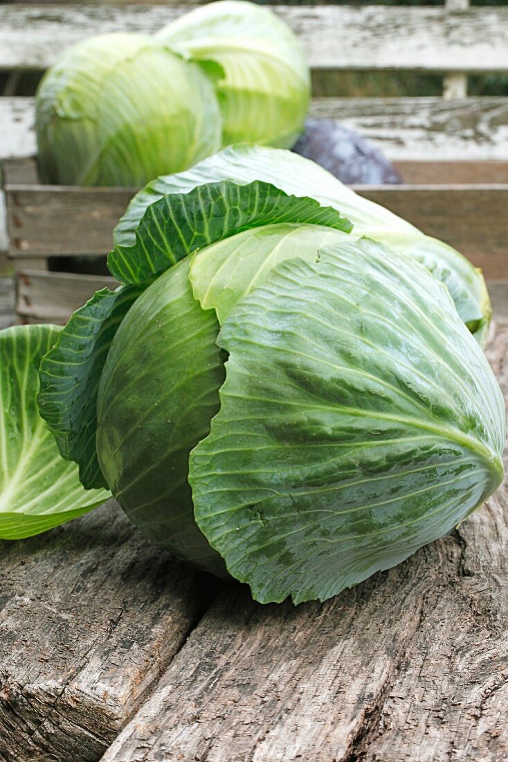 White cabbage in a wooden crate and on a wooden table