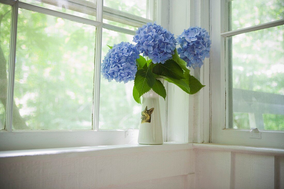 Blaue Hortensien in einer Blumenvase mit Hundemotiv