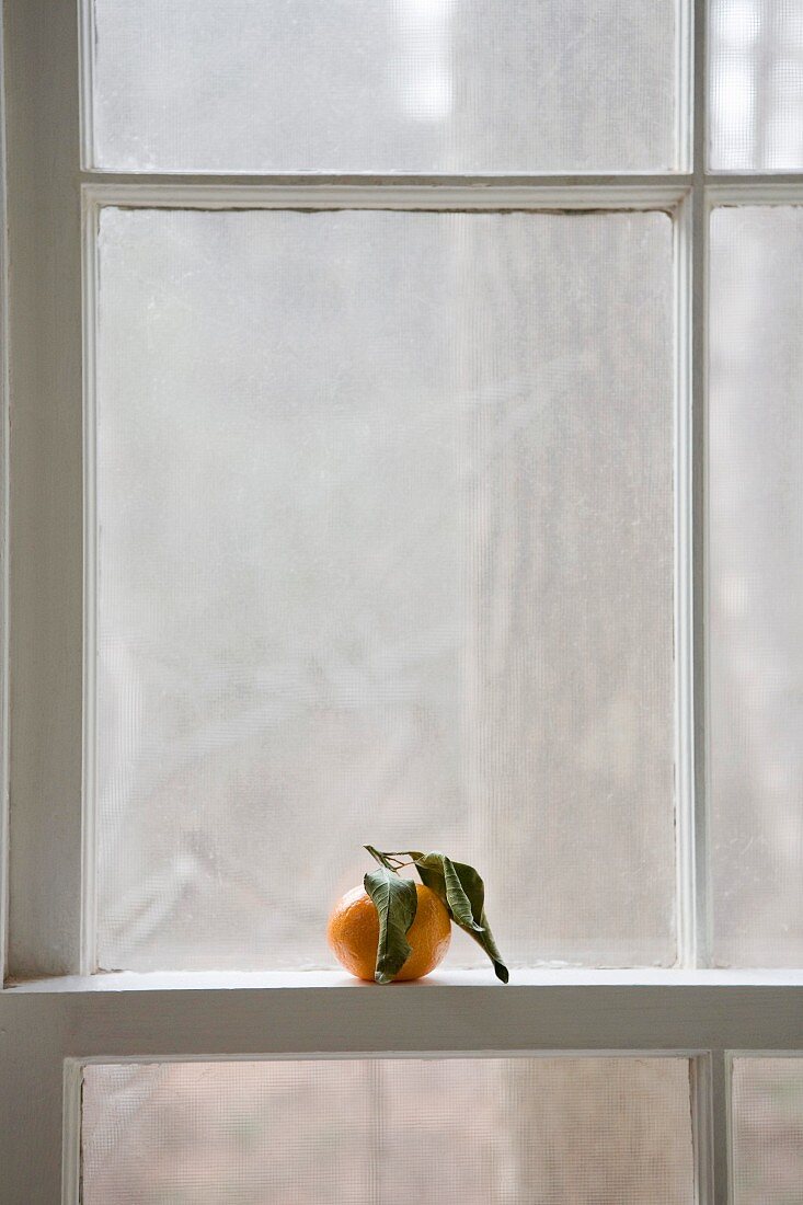 Tangerine auf Fenstersprosse