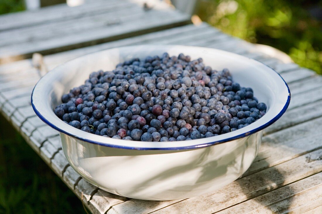 Frische Blaubeeren