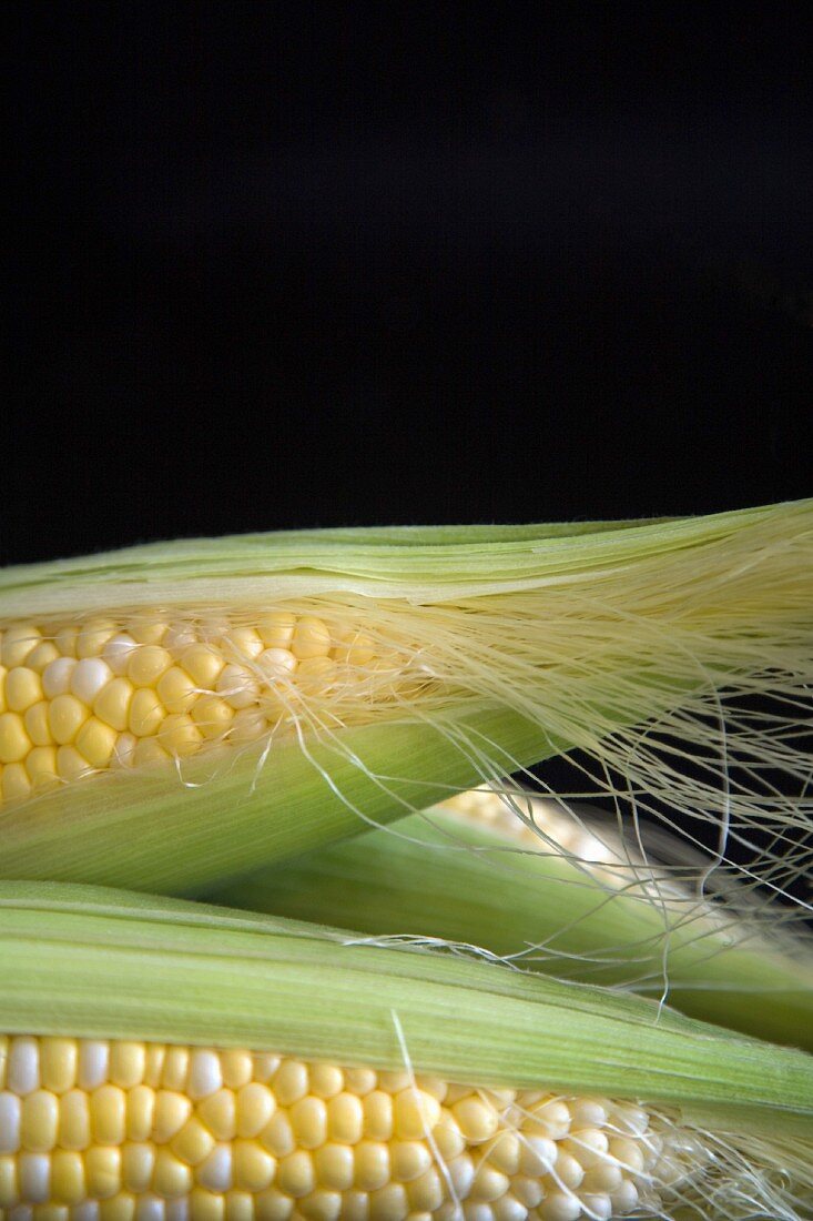 A corn cob (detail)