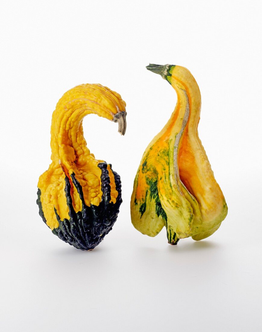 Two ornamental gourds