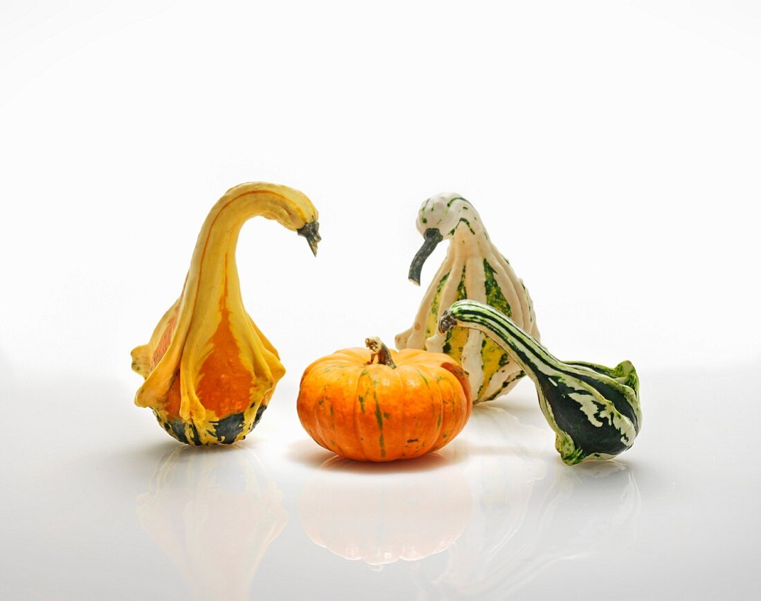 Assorted ornamental gourds