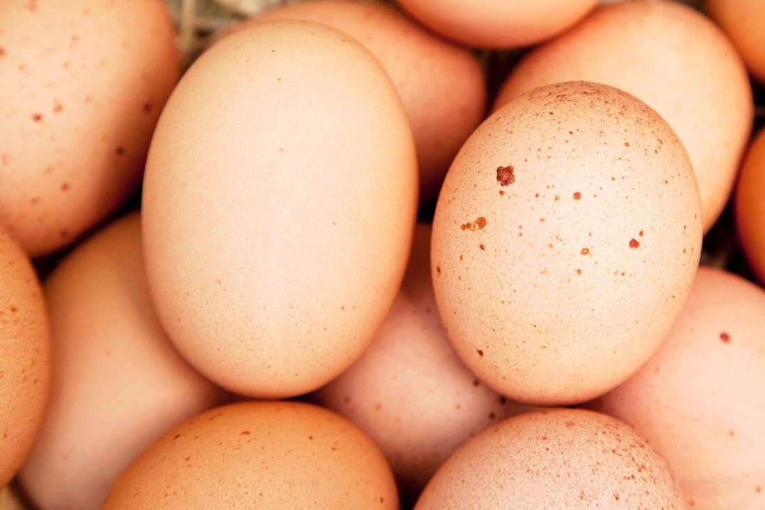 Brown Eggs, Close-Up