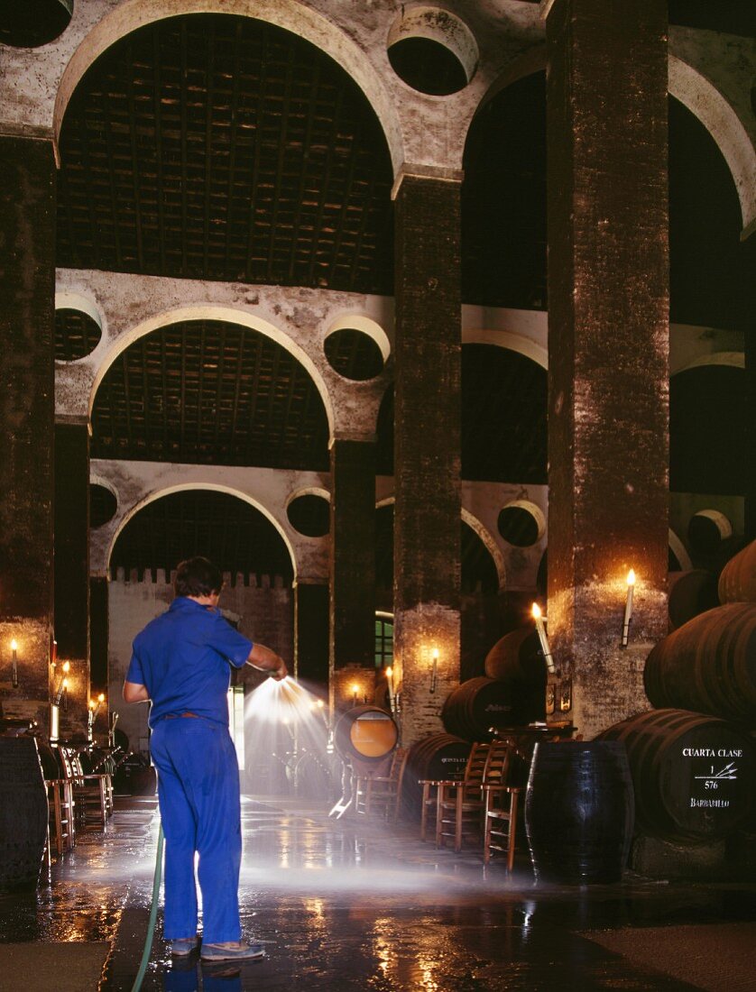 Wasser auf den Sandboden spritzen, um die Feuchtigkeit in der Kathedrale von Bodega Antonio Barbadillo zu erhöhen (Sanlucar de Barrameda, Andalusien, Spanien)