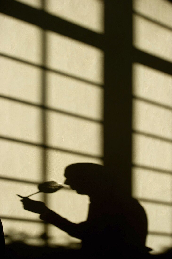 Schatten von einer Person bei der Weinprobe in der Maison du Vin von Saint-Emilion, Gironde, Frankreich