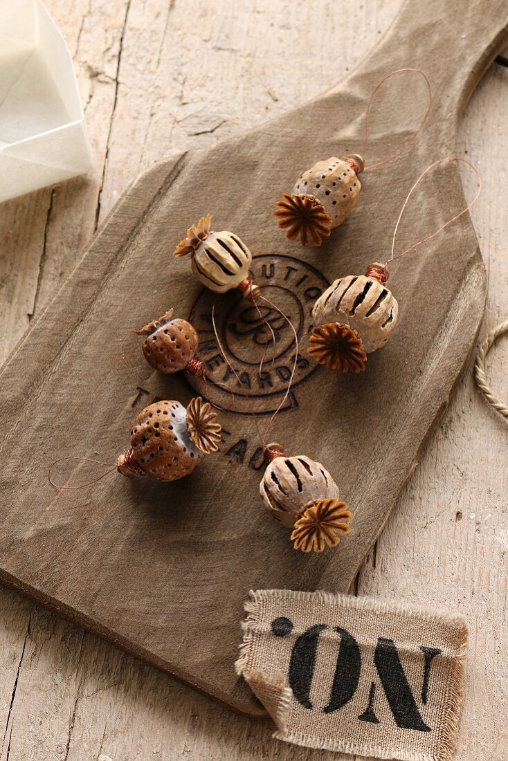 Scored poppy capsules on chopping board made from old oak wine barrel