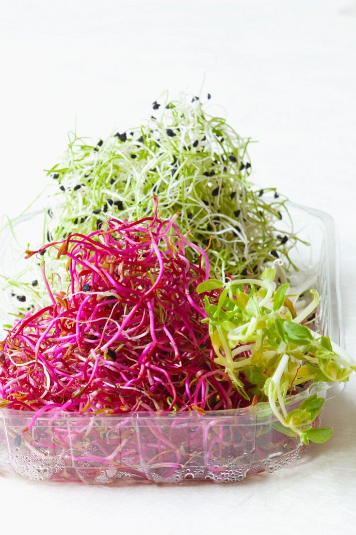 Various fresh bean sprouts in a plastic punnet